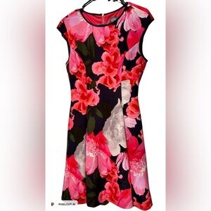 Vince Camuto Floral Cap Sleeve Fit and Flare Dress - size 6